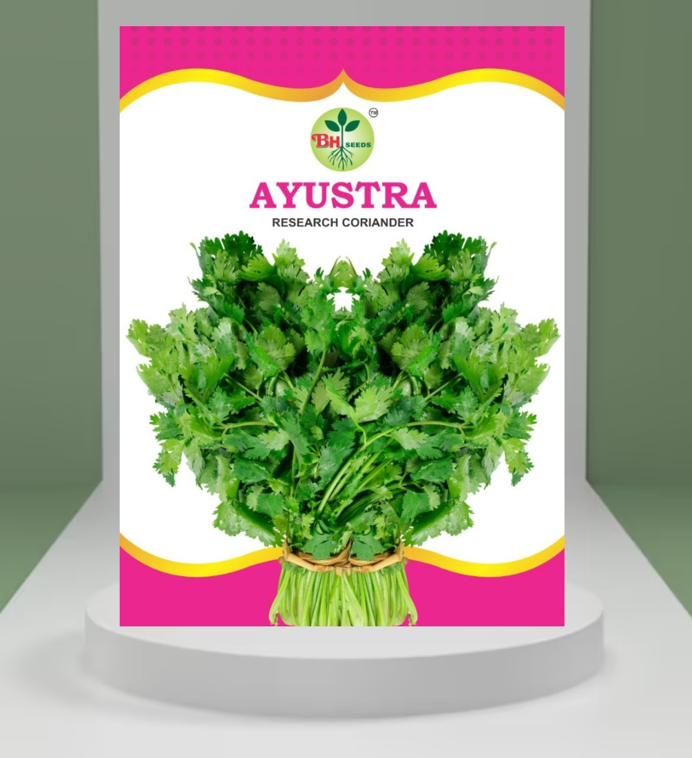 Coriander Seeds