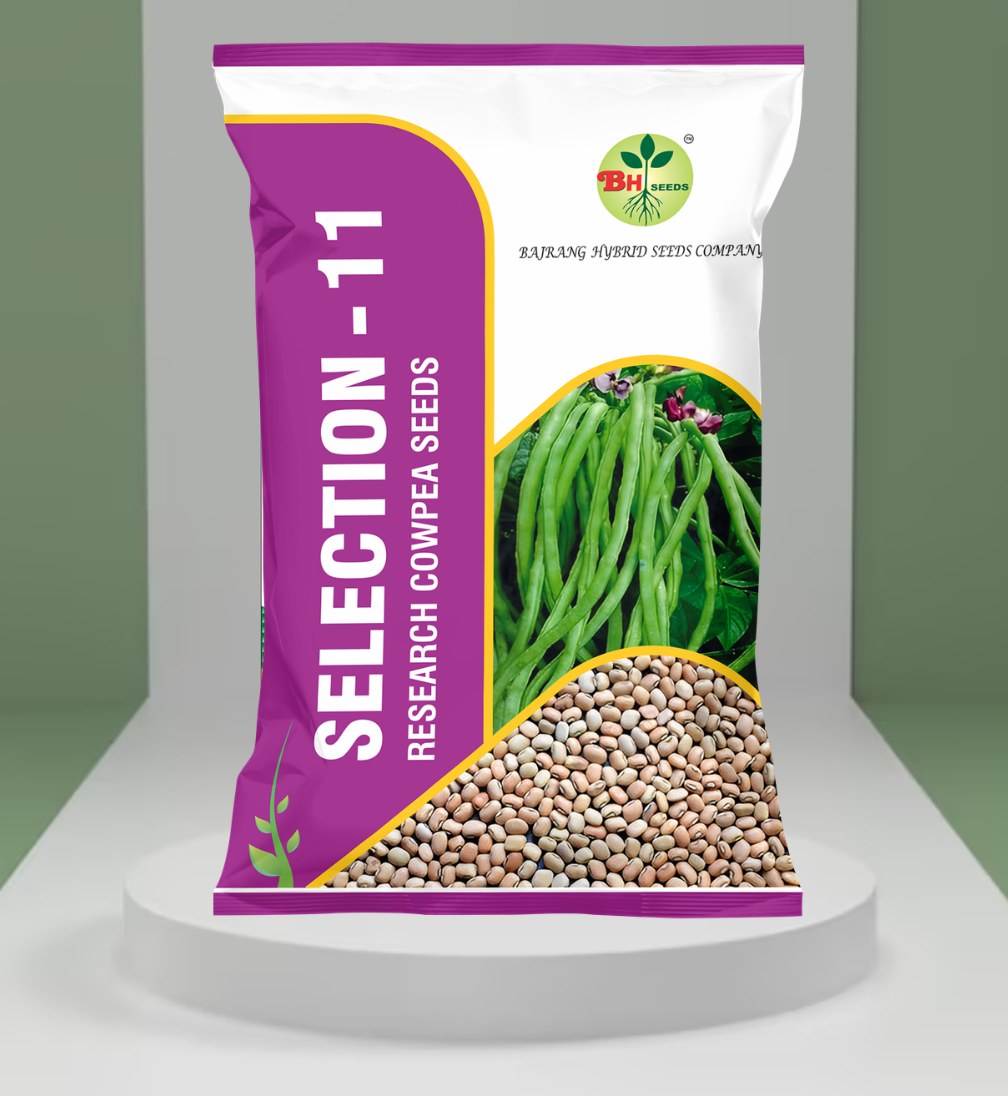 Cowpea Seeds