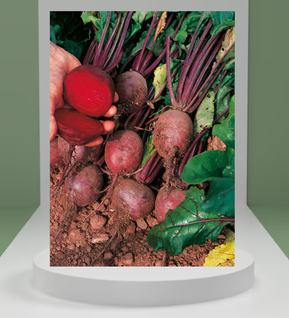 Beetroot Seeds