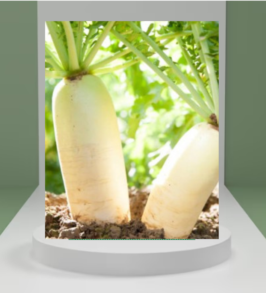 Radish Seeds