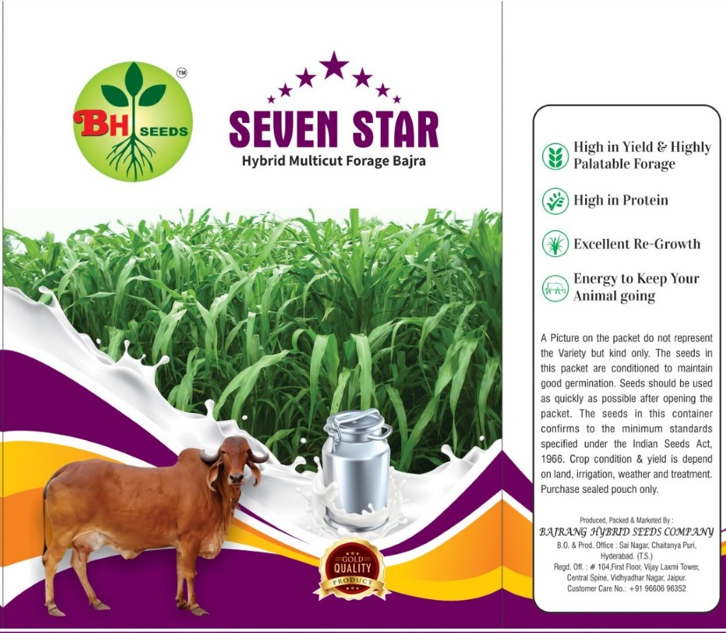 Pearlmillet Seeds - Premium Quality