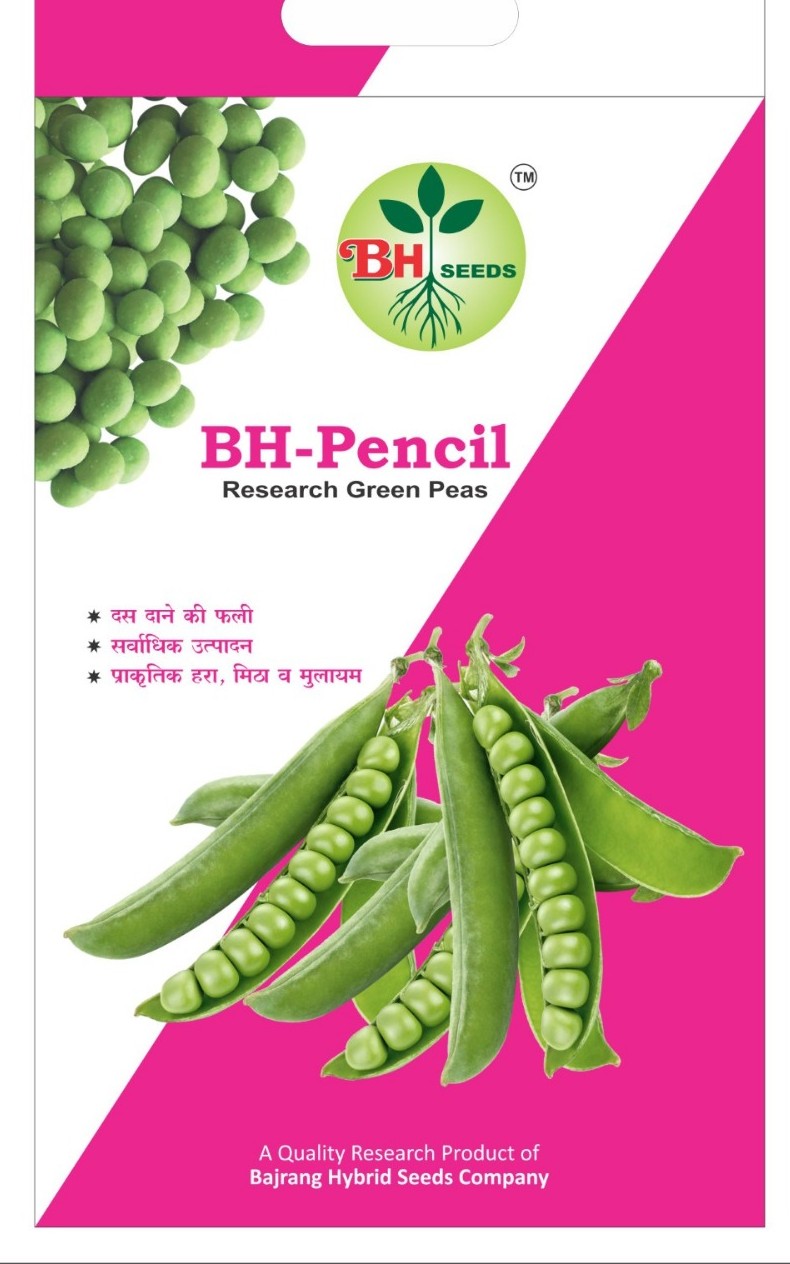 Peas Seeds - Garden Peas