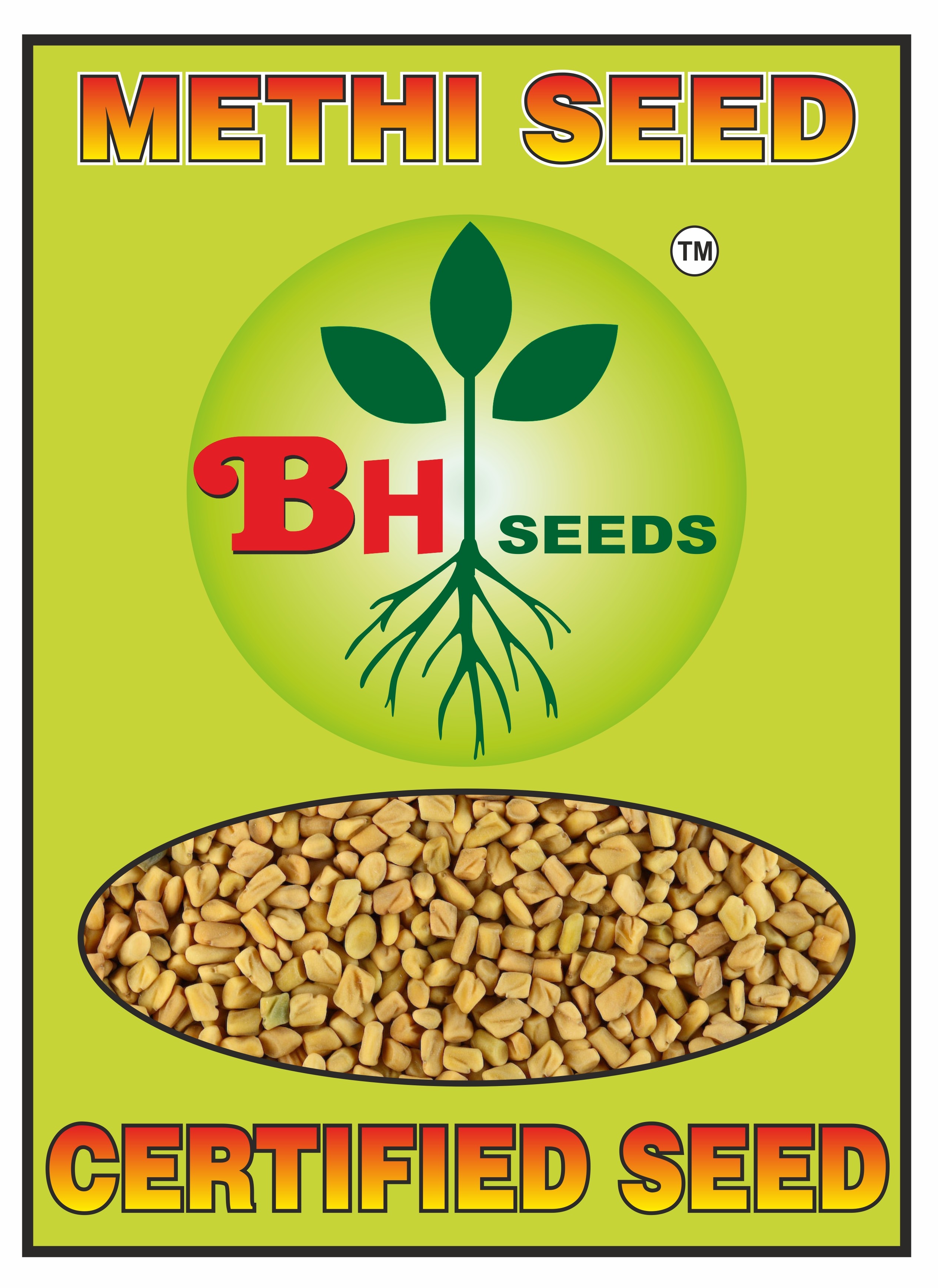 Fenugreek Seeds - Methi