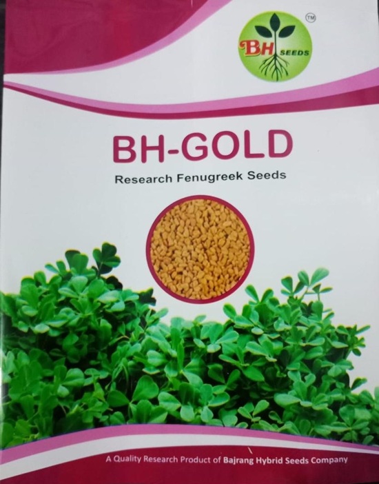 Fenugreek Seeds - Methi