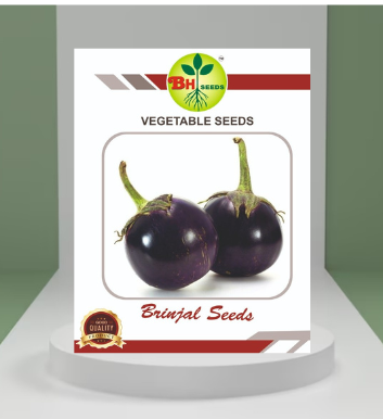 Brinjal Seeds