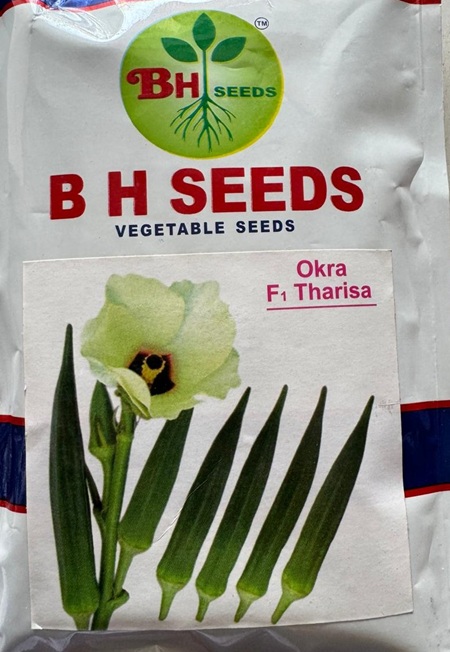Okra Seeds - Tender Pods