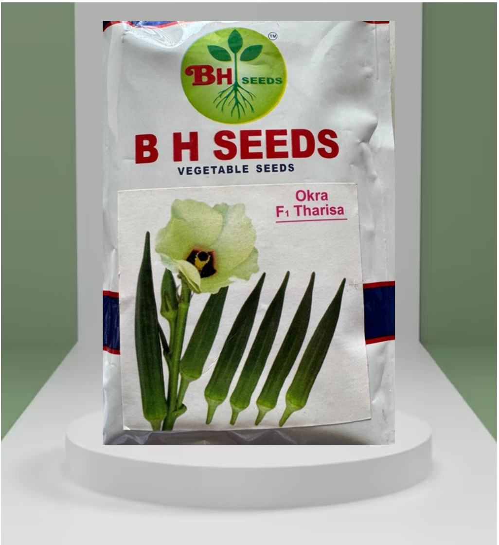 Okra Seeds